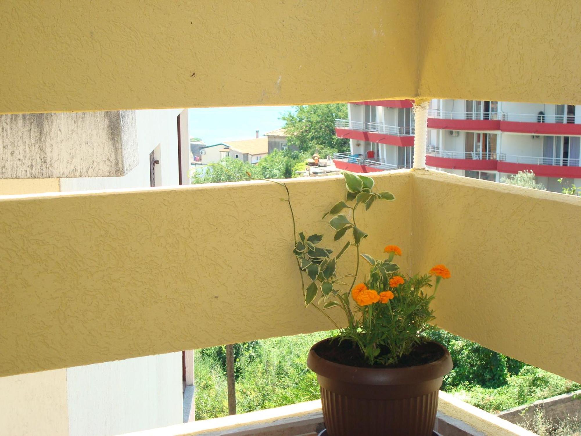 Apartments Cejovic Улцинь Экстерьер фото